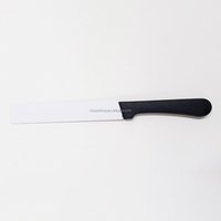 Couteau à steak en acier inoxydable à bord dentelé à pointe ronde avec manche en plastique pour restaurant à la maison