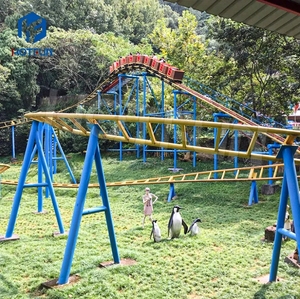 Montaña rusa familiar de popularidad de calidad superior de fábrica a un precio razonable en un parque de atracciones a la venta - Product Image 6