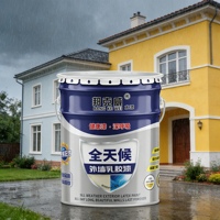 Peinture murale extérieure imperméable résistante aux UV, peinture acrylique latex, peinture murale en ciment pour la maison, revêtement mural intérieur extérieur, vernis blanc