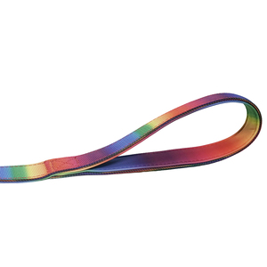 Heavy Duty <b>Rainbow</b> Nylon Dog Leash, Durable Metal Clip for Medium to Large Breeds - Product Image 5