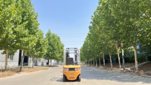 Minicarretilla elevadora eléctrica de 1 tonelada con certificado CE/ISO con batería de plomo-ácido de mástil de 2 niveles y 3 metros - Product Image 3