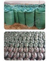 Presse à balles de foin d'alfalfa hydraulique automatique pour la Chine, presse à balles de foin d'alfalfa pour la vente