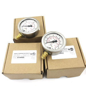 Manomètre TECIS 1,6 MPa, manomètre hydraulique P1453 pour machine de moulage par injection, pression d'huile 25 MPa, utilisation en automatisation - Product Image 3