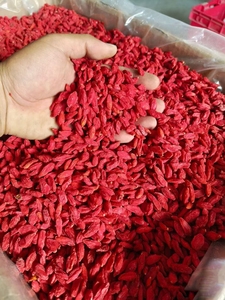<span class=keywords><strong>Fresh</strong></span> Organic <span class=keywords><strong>Goji</strong></span> Berries Preço por atacado Seco Chinês Orgânico Red Black Wolfberry - Product Image 4