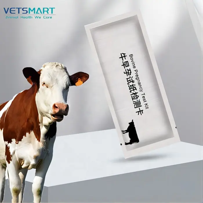 Fastest Blood Serum Testing Visual Home Pregnancy Test Kits For Dairy Cows Beef Cattle Bovine Pregnancy Diagnosis