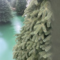 Sapin de Noël haut de gamme entièrement en PE, feuillage vert dense, arbre nu pour la décoration de grands centres commerciaux, à suspendre, 2,1 m, usage intérieur, nouveau, Chine