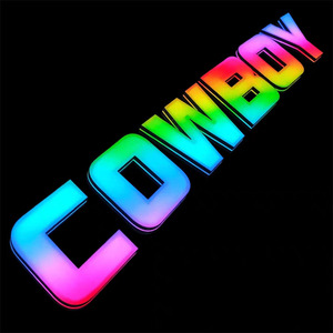 定制 RGB 全彩 LED 背光 3D 墙面标牌 变色广告灯 适用于酒吧商店名称标志方向指示 - Product Image 6