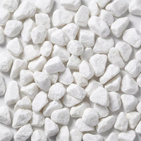 Gravier de pierre naturelle polie avec texture stable et écologique pour la mise en place de cours intérieures et la production de mélanges de terrazzo
