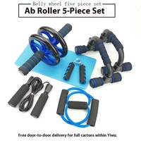 Équipement d'Exercice Musculaire Kit Roue Abdominale Rouleau Barres de Pompes Pince de Musculation Corde à Sauter Tapis de Genoux