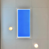 SUEZ Hight CRI Lamp Fenêtre encastrée Blue Sky Rooflight Faux LED Ceiling Virtual Skylight Panel Light