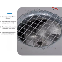 Hotte à flux d'air laminaire à cadre galvanisé 110V avec filtre à carburant H13 Efficacité Garantie 1 an