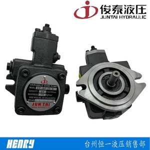 Pompe à palettes variables JUNTAI VP-SF-40-D 40cc, pression max. 70kgf/cm, utilisation huile hydraulique - Product Image 2
