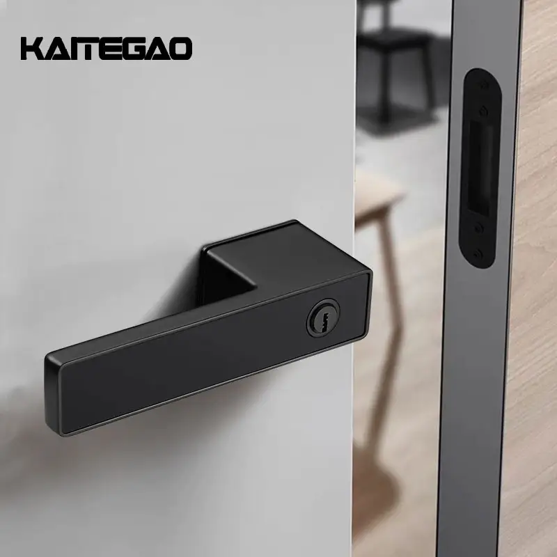 Zinc Alloy Modern Door Handle Matte Black Privacidade Door Lock Square Rose Lever Handle para Quarto Banheiro