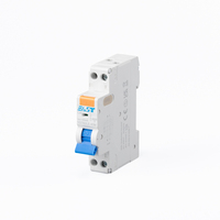 Disjoncteur différentiel automatique EAST RCBO 6KA avec protection contre les surintensités et les fuites de courant 50Hz 230V
