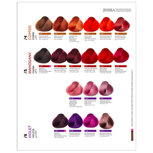 Nuancier de Couleurs Capillaires JIESSIA Kera Repair – Série <span class=keywords><strong>Cuivre</strong></span>, Mahogany, Violet – Micro-Pigment Intense Permanent – Nuancier Réel des Couleurs de Cheveux - Product Image 6