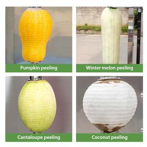 Machine électrique industrielle automatique pour peler et retirer le cœur des fruits (jackfruit, noix de coco, courge, ananas) - Product Image 6