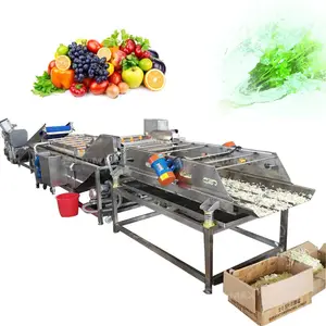 Clean Vegetable Processing Production Line Fruits cleaning Machine Vegetable bubble washer