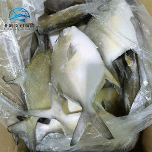 Venda por atacado de peixes de Pompano dourados congelados de boa qualidade, preço de fábrica na China, peixes Pomfret - Product Image 5
