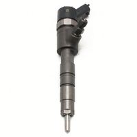 0 445 110 434 0445110434 Inyector de Combustible Common Rail de Alto Rendimiento, Calidad Estable Probada