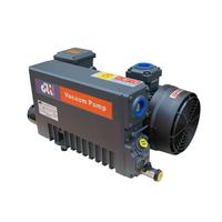DLT V0040A Drehschieber-Vakuumpumpe 40m³/h 2PS Eisen Niederdruckbearbeitung OEM Kundenspezifische Spannung 380V 3-Phasen 1 Jahr Garantie