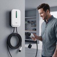 Vente directe usine OEM/ODM Borne de recharge domestique 7 kW pour véhicules électriques, Chargeur VE Plug and Play Type 2