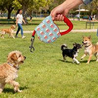 Nouvelle laisse rétractable automatique réfléchissante robuste pour chiens de taille moyenne et grande avec un design moderne