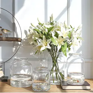 Стеклянная ваза для гостиной сушеные цветы в скандинавском стиле Ins стеклянный прозрачный удлинитель аксессуары для украшения дома цветочные вазы для дома