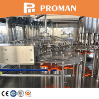 Machine de remplissage d'eau en bouteille plastique de type rotatif entièrement automatique 3 en 1 pour eau minérale 25cl 33cl 60cl 75cl 1.5L
