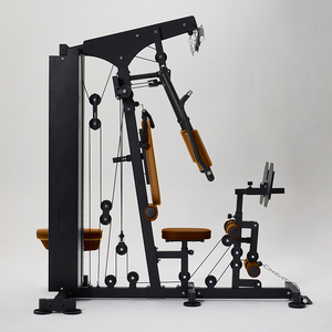 Set di postazioni da palestra per la casa per uso domestico multifunzione All-in-One attrezzatura da allenamento per 2-in-1 per uso domestico - Product Image 4