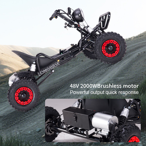 OEM 2000W dành cho người lớn Điện off-road Go Kart 2000W động cơ chuỗi ổ đĩa đôi xương đòn treo 6 inch bánh xe sắt đi Kart - Product Image 2