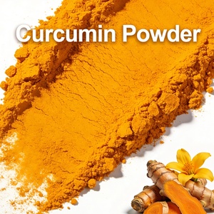 Harga Grosir Ekstrak Kunyit Kemurnian Tinggi 95% Kurkumin - Product Image 2