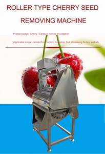 Proveedor eléctrico Precio barato Equipo de procesamiento Industrial Cherry Pitting Machine Rotary para enlatado - Product Image 2