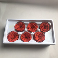 Roses Éternelles Naturelles Véritables Conservées de 5-6 cm en Gros