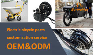 Kit de Motorisation Centrale Électrique Robuste QS138 90H V3 4000W avec Moteur PMSM, Boîte de Vitesses 1:2.35 et Arbre Cannelé pour Conversion de Moto Électrique - Product Image 5