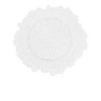 Lot de 50 Assiettes de Présentation Durables Transparentes 33 cm avec Bord Doré Motif Floral Corail Design Moderne Classique pour Mariage et Réceptions