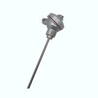 Capteur de température à sonde en acier inoxydable Pt 100 pour la mesure de la température de l'eau