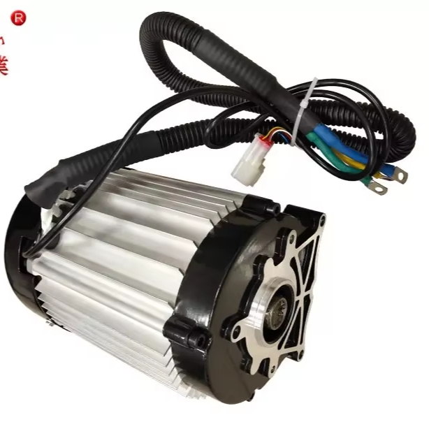 China 48V PMSM Brushless Motor Controller 2KW 2000W Waterproof Protection for Electric Cargo Tricycle Rickshaw Auto Rickshaw