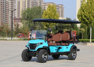 Chariot de golf de <span class=keywords><strong>voiture</strong></span> de club Chariot de club de golf électrique Off Road Street Legal Lithium Battery Golf Cart - Product Image 5