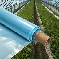 Film PE à haute transmission lumineuse anti-UV pour serres agricoles, idéal pour l'élevage de plantes en pleine lumière