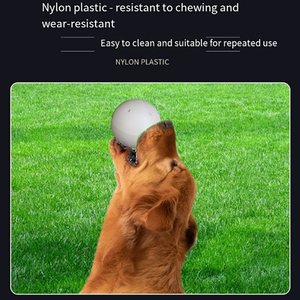 Kit Profesional de Entrenamiento Olfativo <span class=keywords><strong>para</strong></span> <span class=keywords><strong>Perros</strong></span>, Bola y Palo de Detección de Olores <span class=keywords><strong>para</strong></span> <span class=keywords><strong>Perros</strong></span> de Trabajo de Todas las Razas, Equipo de Rastreo <span class=keywords><strong>para</strong></span> Uso en Centros - Product Image 6