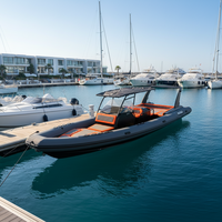 Bateau gonflable côtelé de luxe avec toilettes, 28 pieds, coque en aluminium 860