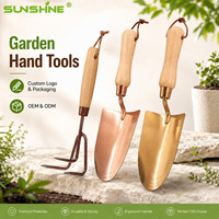 SUNSHINE Ensemble d'outils de sapin bonsaï de 3 pièces en acier inoxydable revêtu de titane pour équipement de jardin et kit d'outils de jardinage pour enfants
