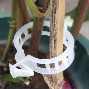 Clip de fixation en plastique pour tomates, accessoires de jardinage, outils de jardinage, clips de fixation pour plantes - Product Image 1