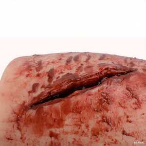 Kit Simulatore di Lacerazione <span class=keywords><strong>della</strong></span> Coscia Modello Anatomico Manichino per Addestramento alla Sutura e Controllo dell'Emorragia Prodotto per <span class=keywords><strong>Scienze</strong></span> Mediche - Product Image 3