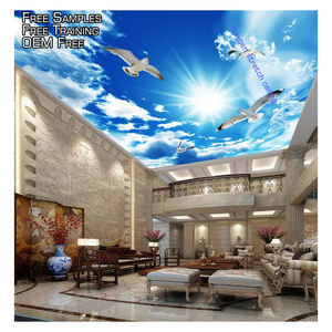 कस्टम बड़ी छत भित्ति 3 डी स्टीरियो नीले आकाश सफेद बादलों के लिए चित्र खिंचाव छत - Product Image 1