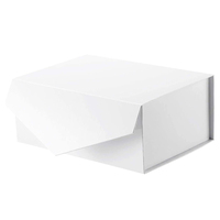 Boîte magnétique pour cache-tétons, pour vêtements, sous-vêtements, boîte magnétique