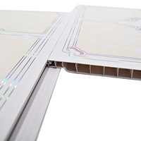 Paneles de Techo de PVC Impermeables de Diseño Moderno de 6 mm x 250 mm, Resistentes a la Humedad y al Sonido, para Hoteles, Paneles de Pared Ignífugos
