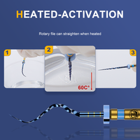 Instrumentos de Endodoncia AI-UB NiTi Activados por Calor, Originales de EE. UU., para Conductos Radiculares, 25 mm, 10 Juegos en Caja