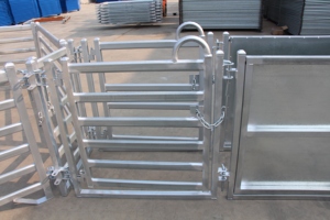 Ganado equipos ovejas patio ovejas aplastar - Product Image 2