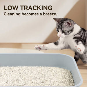 Areia para Gato de Tofu Premium Sem Poeira, Absorção Rápida, Desodorizante, Logo Personalizado, Flushable, 100% Natural - Product Image 2